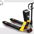 CAS MP-2 (TYPE C)