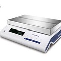 Mettler Toledo MS403TS