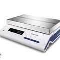 Mettler Toledo MS32000L